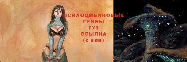 соль курить ск Рославль